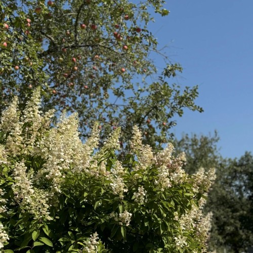 Выходные на Угре: рыбалка с обучением и отдых на природе (всё включено)