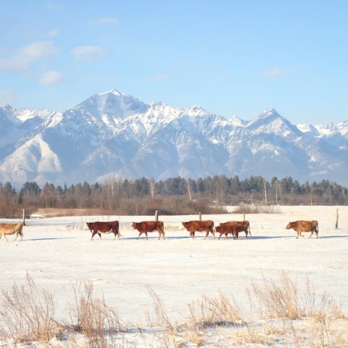 Путешествие в Аршан: прогулки в предгорье Саян и красоты Тункинской долины