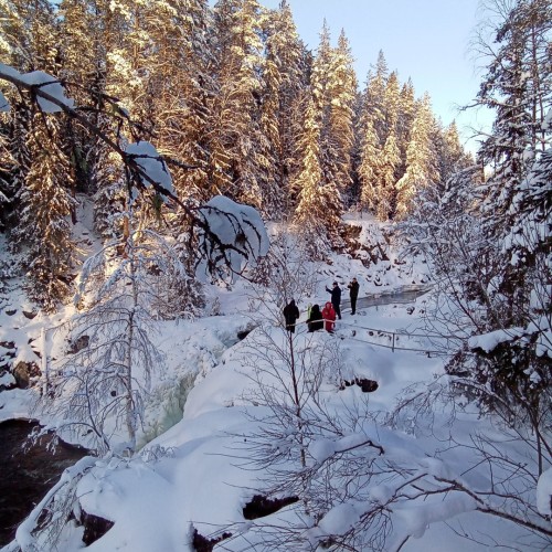 В Карелию с семьёй: Кижи, Петрозаводск и знакомство с культурой и фольклором