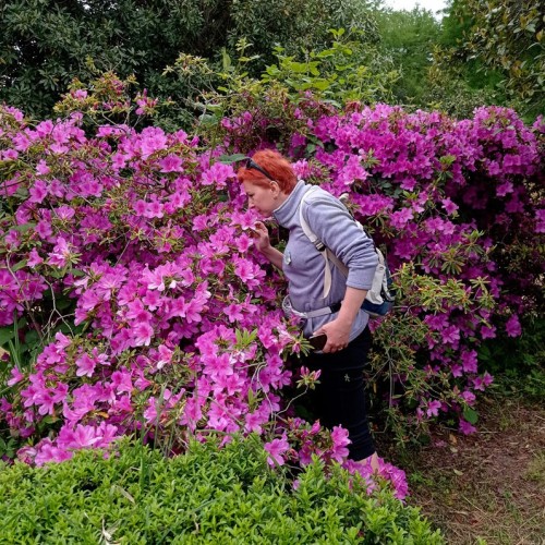 Лёгкий треккинг в субтропиках с проживанием в гостинице в Адлере