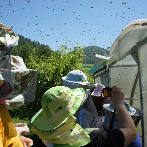 В роли кочевника на Алтае: обряды, сакральные места и дегустации традиционных блюд