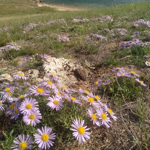 Степи бурятские, сторона байкальская: Ольхон, мрамор, туманные склоны и мастер-класс (индивидуально)