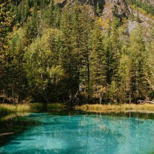 Знакомство с достопримечательностями, флорой и фауной Горного Алтая с проживанием в экодоме