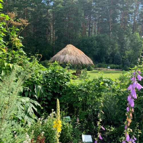 Сказочный Алтай: местные промыслы и природные достопримечательности