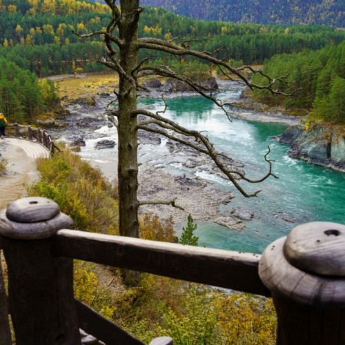 Отпуск на Алтае в мини-группе: релакс в глэмпинге, дегустация на пасеке и лёгкий экстрим