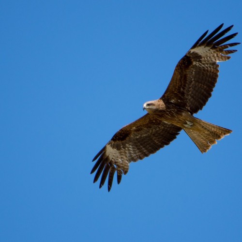 Этнотур по Алтайскому краю и Республике Алтай: всё включено