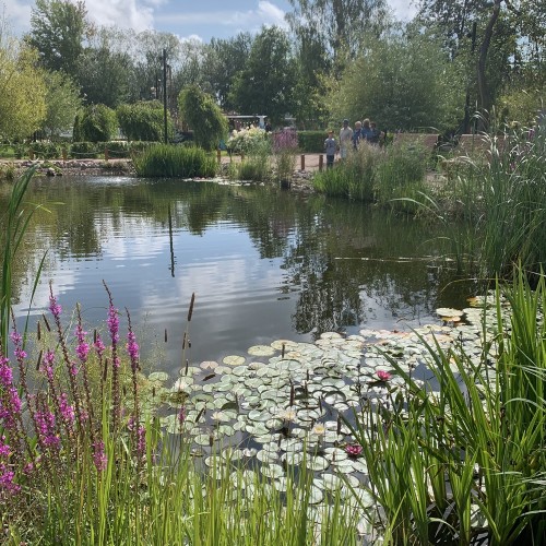 Кронштадт — первое знакомство (из Петербурга на авто)