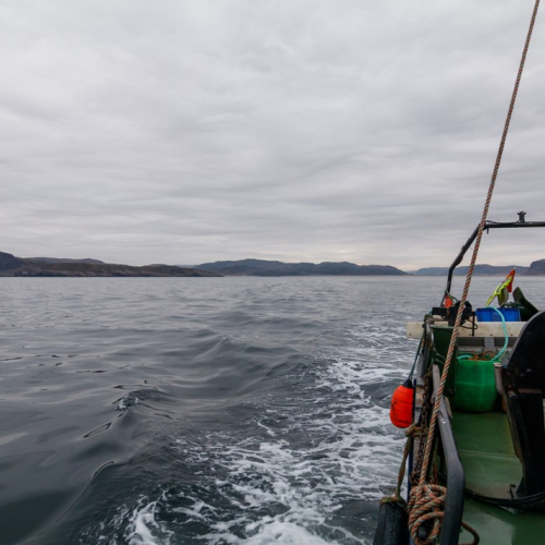 Удивительный Кольский: Сейдозеро, полуостров Средний и Териберка