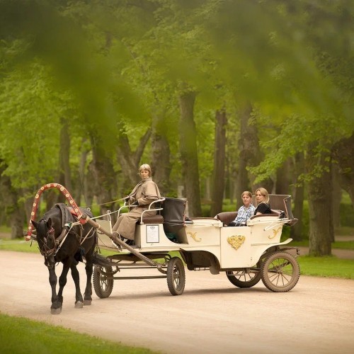 Конная прогулка по Павловскому парку с экскурсией!