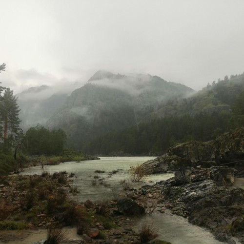 Сиреневые горы, Алтай и май: главные места во время цветения маральника в мини-группе (всё включено)