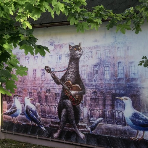 Калейдоскоп русской Балтики: кошачье царство и Куршская коса