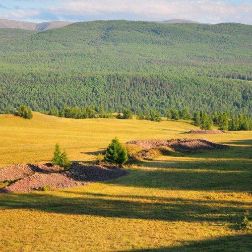 Алтайские места силы и древние петроглифы (в мини-группе)