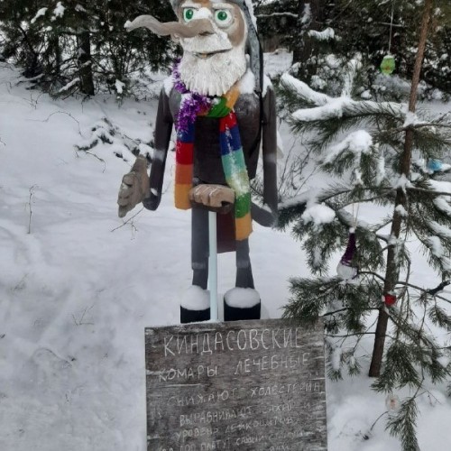 Выходные в Карелии с душой: из Санкт-Петербурга в Петрозаводск и весёлую деревню