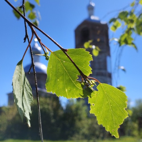 «Москва — Петушки» и далее