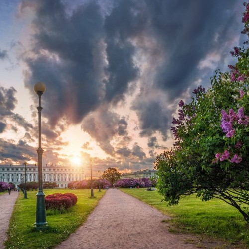 Экскурсия-трибьют: несколько поколений русских эмигрантов