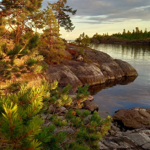 Персонально из Петербурга в тишину карельских земель: Старая Ладога, деревня Большая Сельга, Олонец