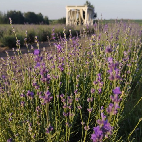 Русские пейзажи и шарм Прованса: Муром, Нижний Новгород и Гороховец за выходные