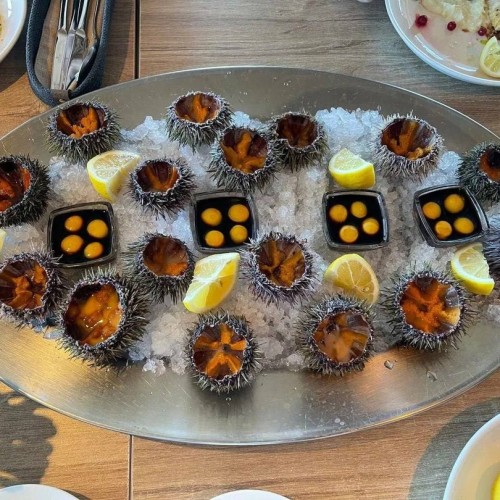 Океан впечатлений в Арктике: айс-флоатинг, северное сияние, морская прогулка и гастрономия