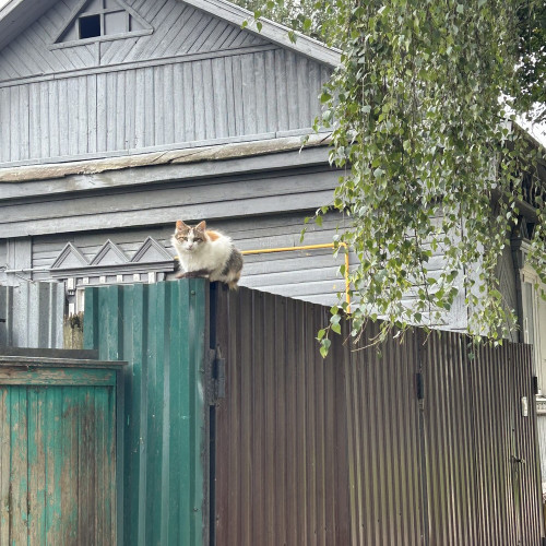 Тайны древнего Звенигорода
