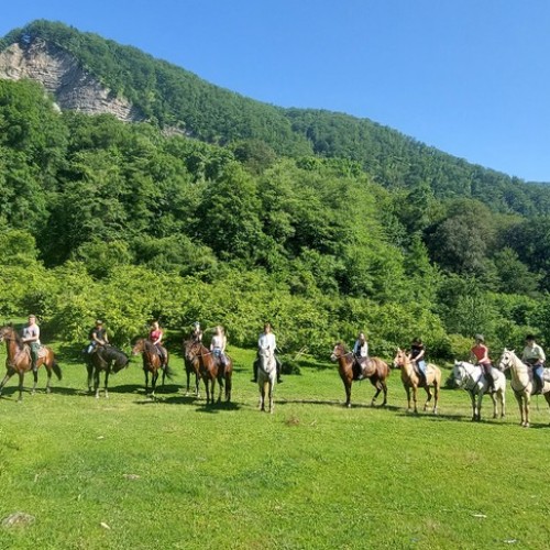 На лошадях по предгорьям Сочи: прогулки для новичков и опытных всадников