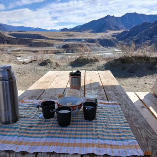 Алтай в цвету: маральник и Чуйский тракт — из Горно-Алтайска