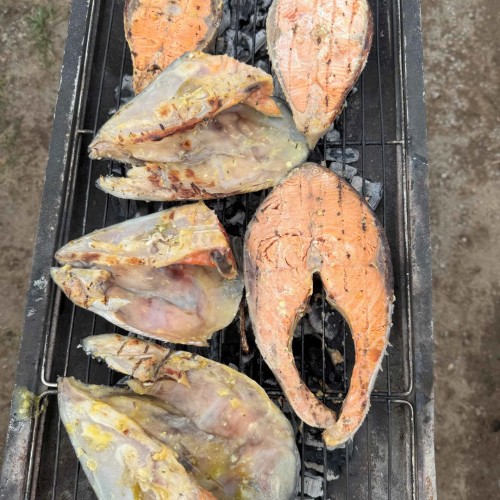 Там с коптера видны вулканы: экспедиция по Камчатке с выходом в море