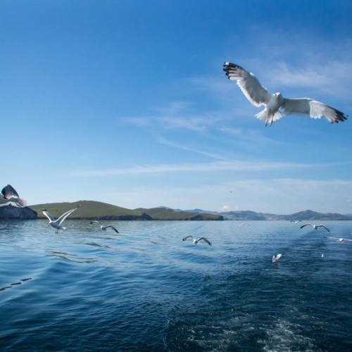 Неспешное путешествие на Байкал: Ольхон с севера на юг и Листвянка