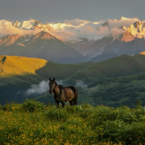 Приключения среди Кавказских гор: от плато Бермамыт до Чегемских водопадов