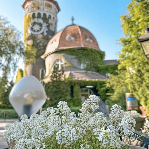 Девичник в Калининграде: уютные городки на Балтике, Куршская коса и европейская атмосфера