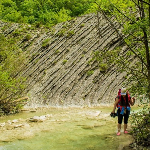 Запах разнотравья и никого вокруг: поход с рюкзаками по долине реки Пшада (всё включено)