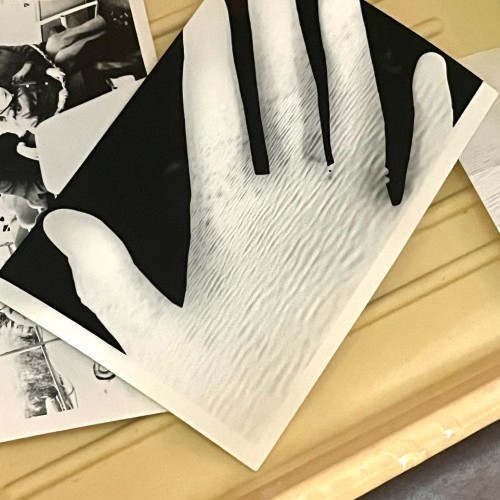 Фотография без камеры: мастер-класс по созданию фотограммы в Петербурге