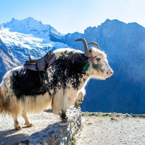 Главное на Домбае и в Кабардино-Балкарии и свободный день в Кисловодске