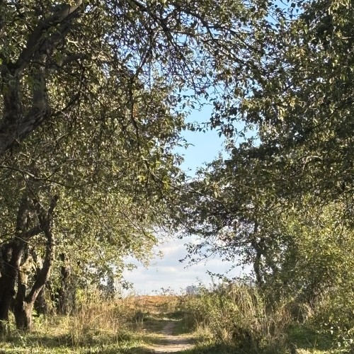 Коломенское: Старый Государев двор (в мини-группе)