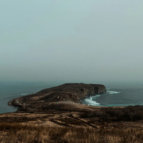 Тигры, море, шашлычок