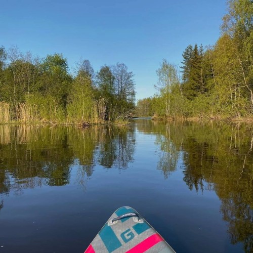 Выходные-перезагрузка на реке Луга: сплав на сапах в мини-группе (съёмка включена)