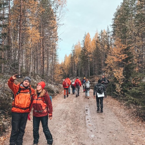 Детокс в Карелии: место силы, дары леса и походная романтика (всё включено)