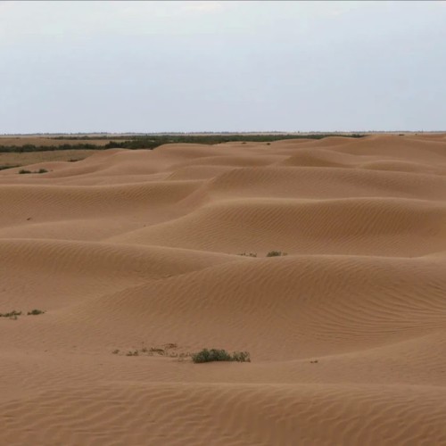 Насыщенный тур по Калмыкии: буддийские святыни и знакомство с кочевым бытом