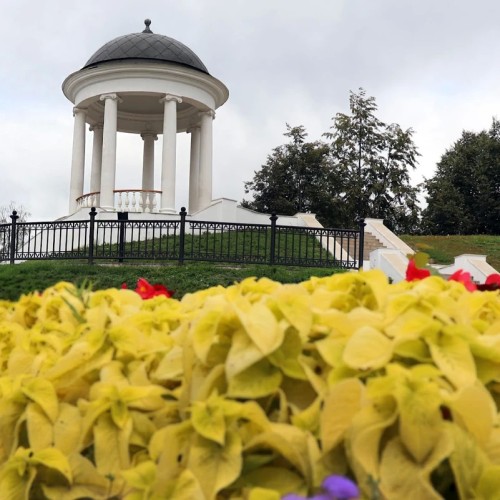 Костромской трип: выходные на Волге с посещением лосиной фермы и дегустацией в Музее сыра