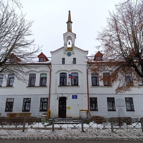 Прусские воительницы и великие полководцы 19 века