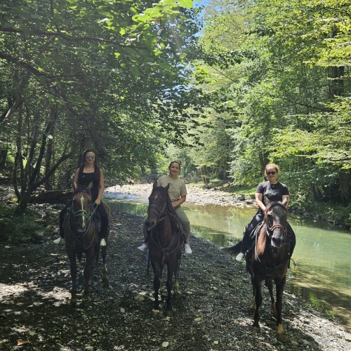 На лошадях по предгорьям Сочи: прогулки для новичков и опытных всадников