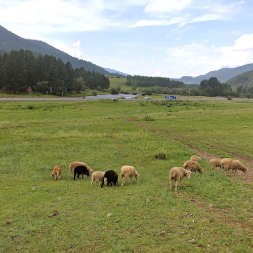 Треккинг по хребту над долиной Катуни
