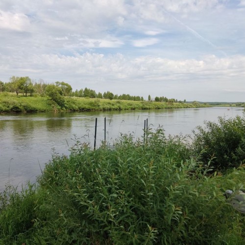 В объятиях Тьмы: лёгкий сплав на байдарках (всё включено)