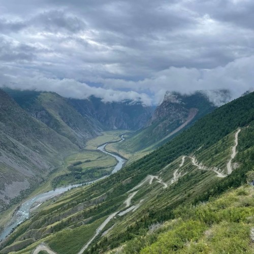Когда Алтай оживает: цветение маральника, озёра и перевалы Чуйского тракта (мини-группа)