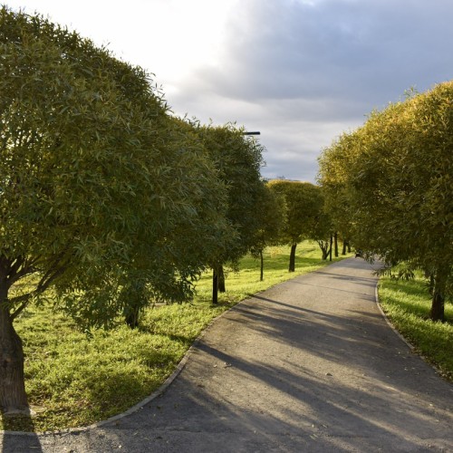 Кудрово: город цветных гигантов через дорогу от Петербурга