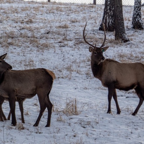 Топовые и необычные места Алтая в мини-группе: Чуйский тракт, озеро Джангыскёль и лёгкий треккинг