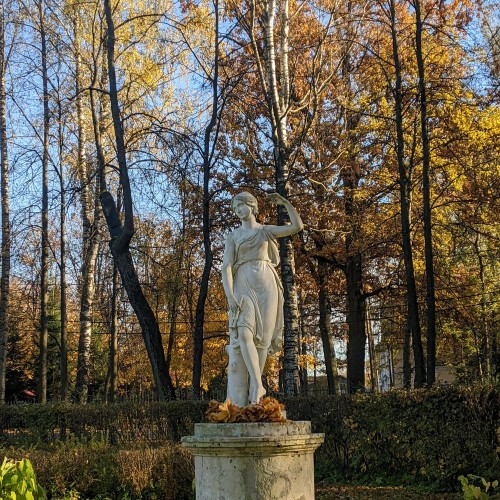 Истории любви на аллеях Павловского парка.