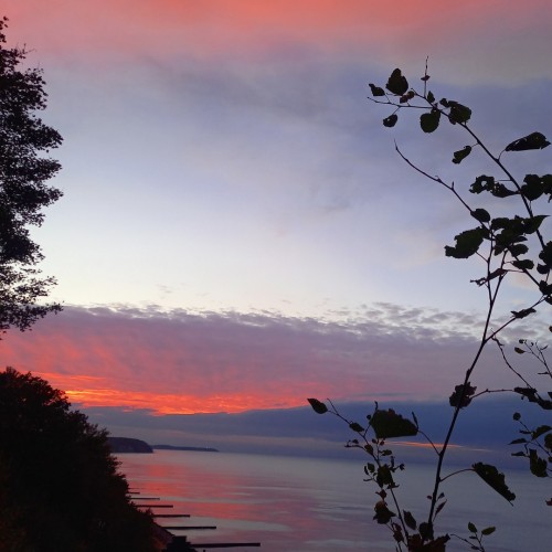 Тур-знакомство с Калининградом и окрестностями: Светлогорск, Зеленоградск, Янтарный и Балтийск