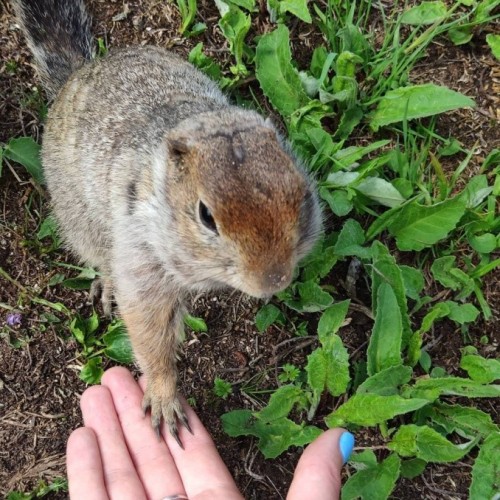 Вулканы, гейзеры и шум океана: активное путешествие по природным чудесам Камчатки
