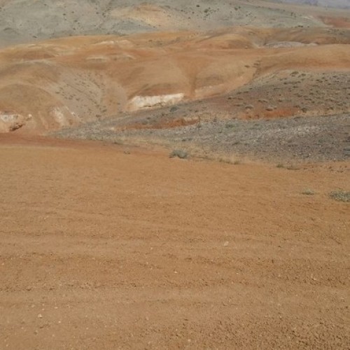 Главное на Алтае: автопутешествие в мини-группе