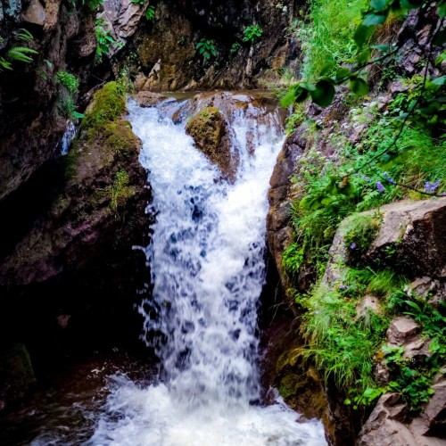 Туда, где горы и минеральная вода: Кисловодск, Пятигорск, Ессентуки и Домбай